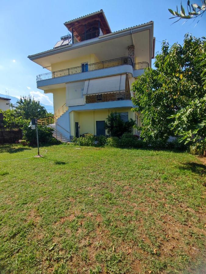 Cheerful 2 Bedroom Villa With Free Parking. Gjirokastra Kültér fotó